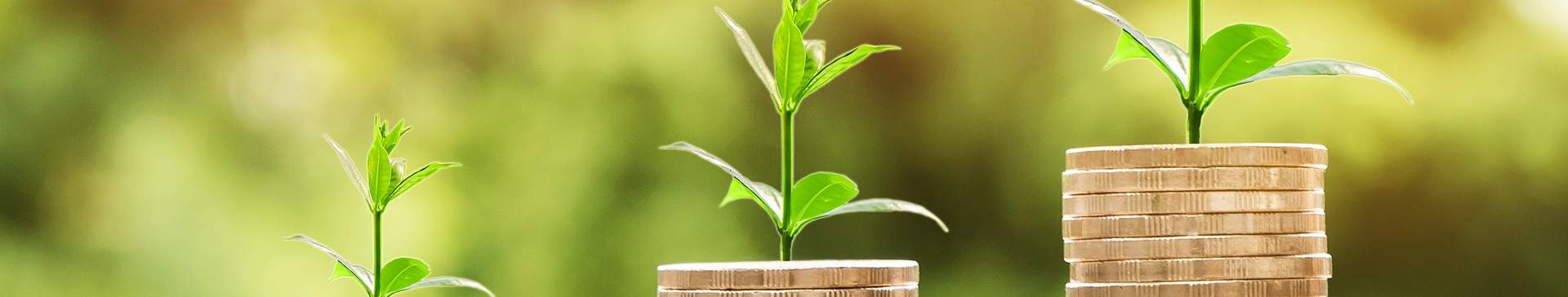 Quelles solutions business pour gagner en compétitivité ?
